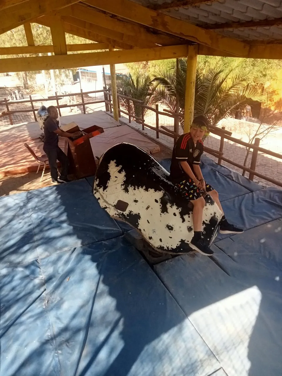 Juegos bajo la palapa
